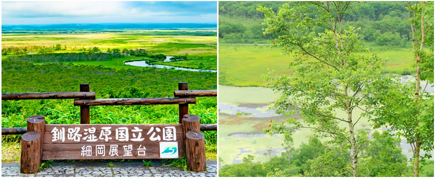 【Deposit】Meet your first love in Hokkaido for 5 days