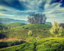 【Deposit】South India Tour 14 Days