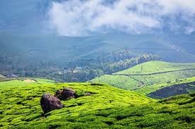 【Deposit】South India Tour 14 Days